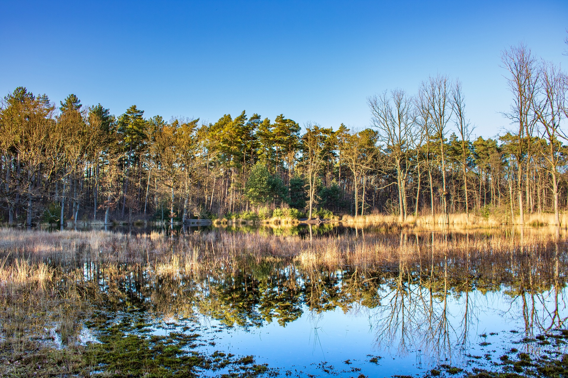 Around Koersels Kapelleke