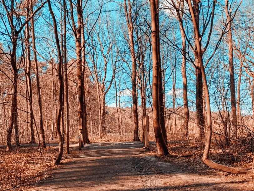 Boucle de Sint-Joris-Weert
