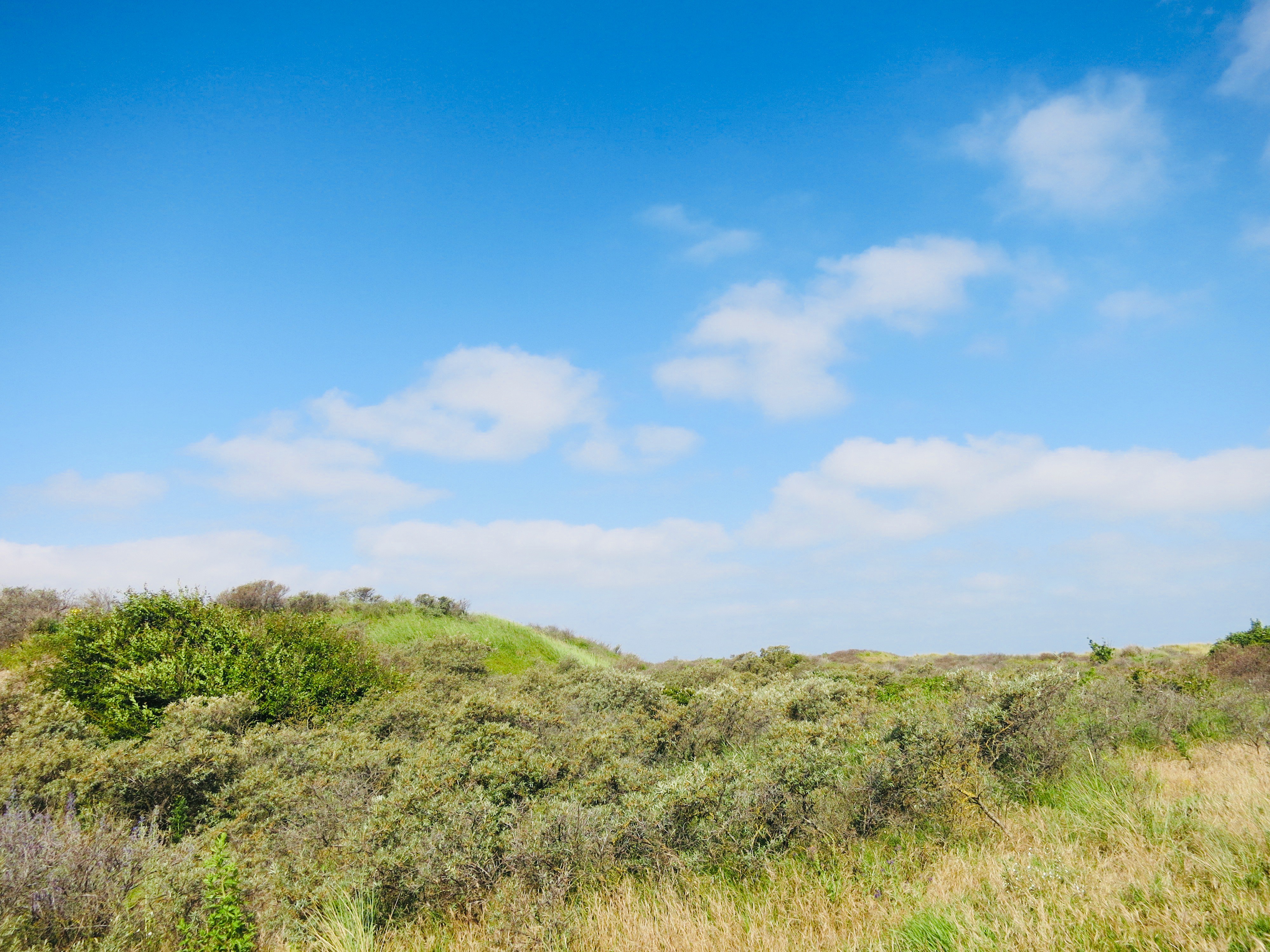 De Westhoek Nature Reserve