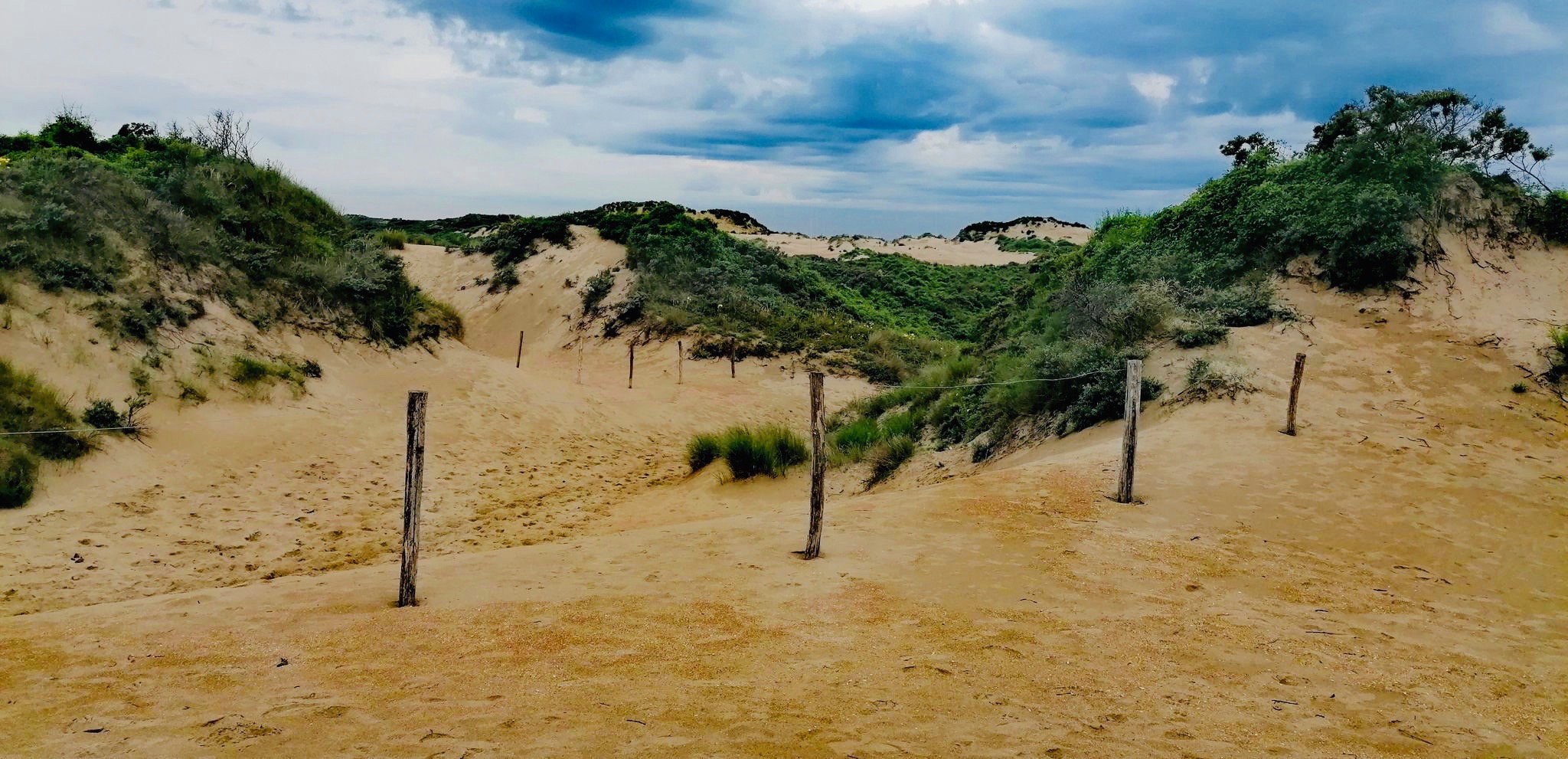 Schipgatduinen