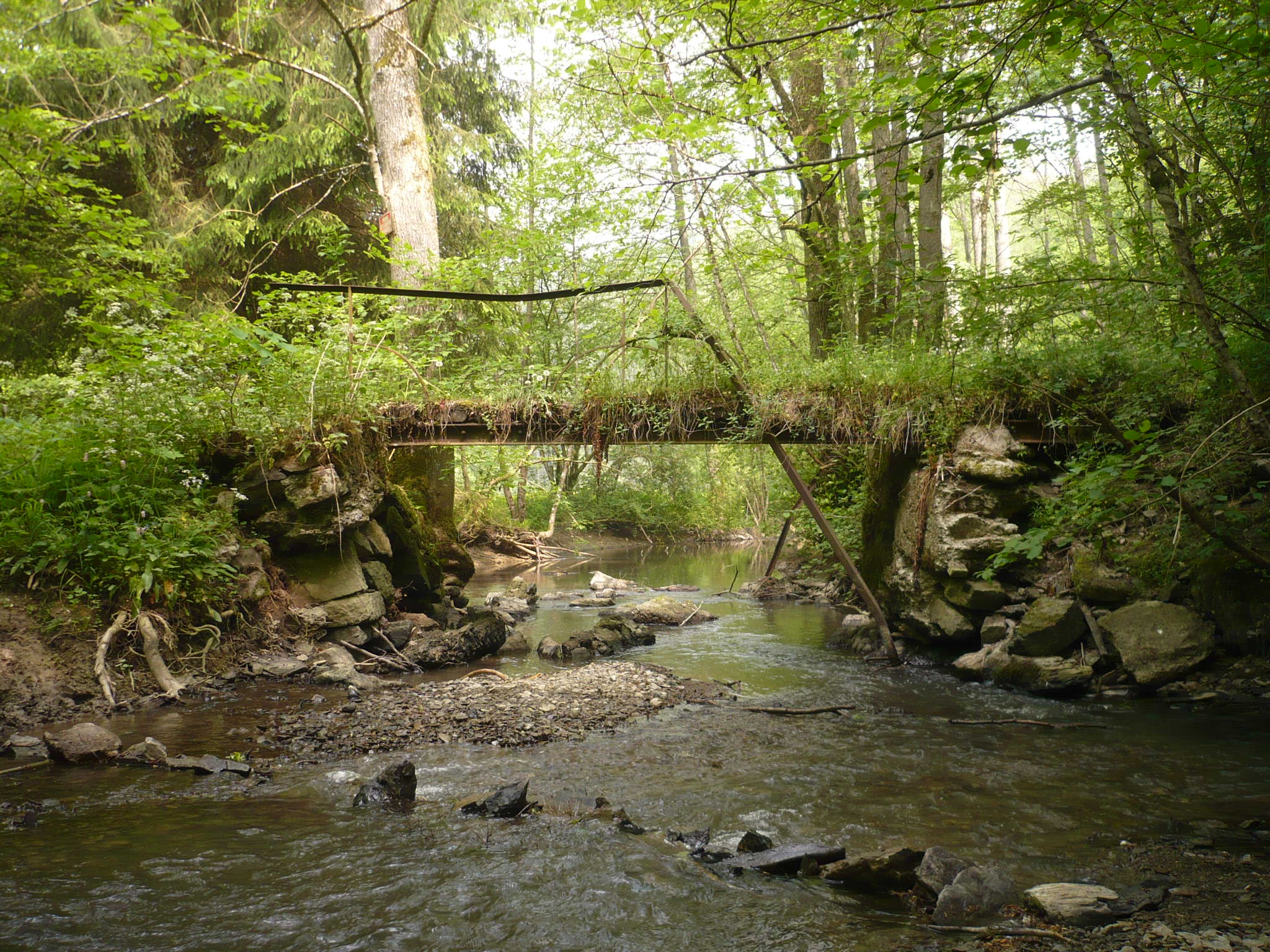 Along the Lesse and l'Iwoigne