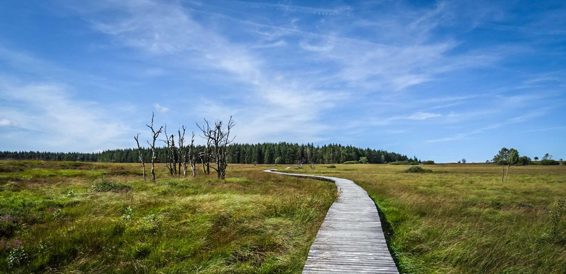 Baraque Michel from Signal de Botrange