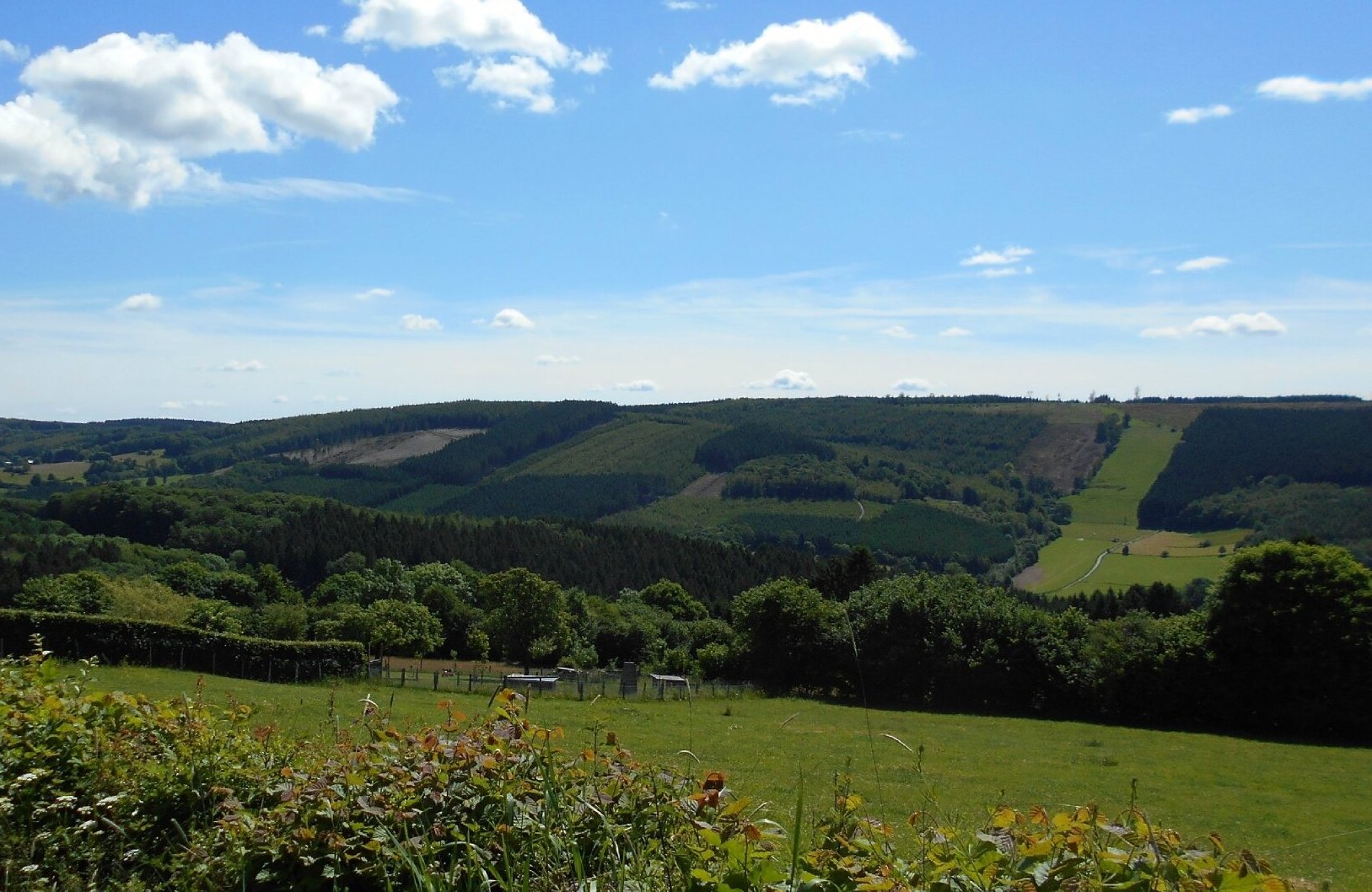 Entre Ruy et Francorchamps