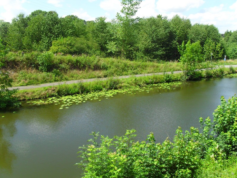 Bois d'Arpes and Old Brussels-Charleroi Canal