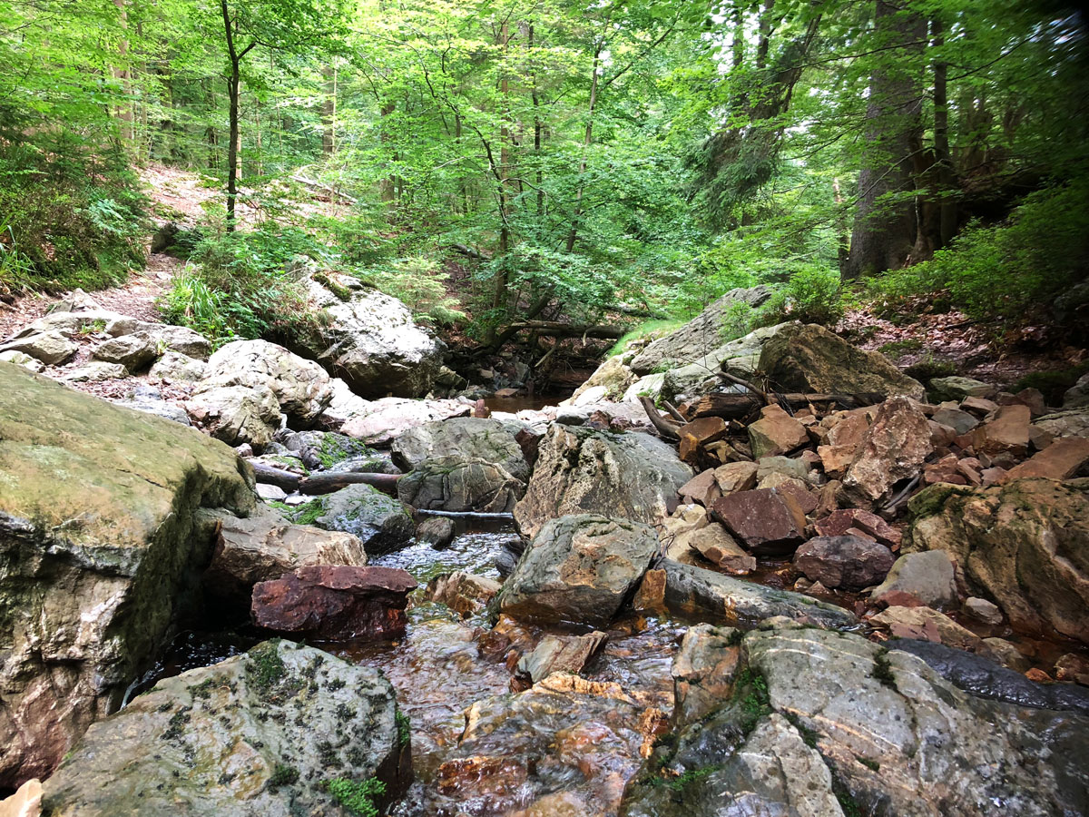 Bois de Haus Ternell