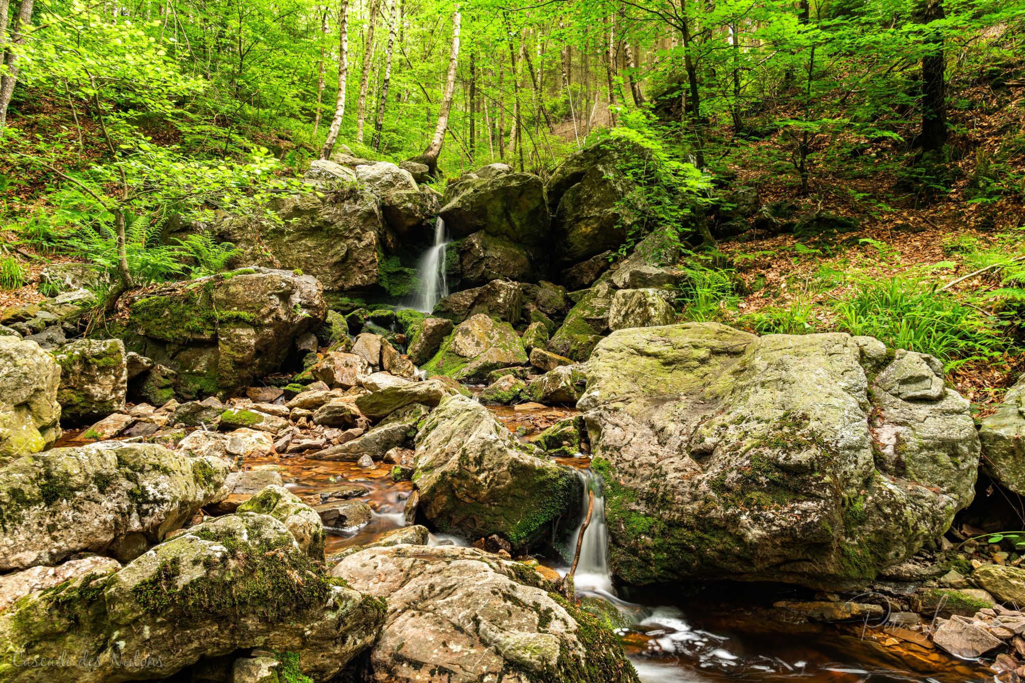 Cascade des Nutons