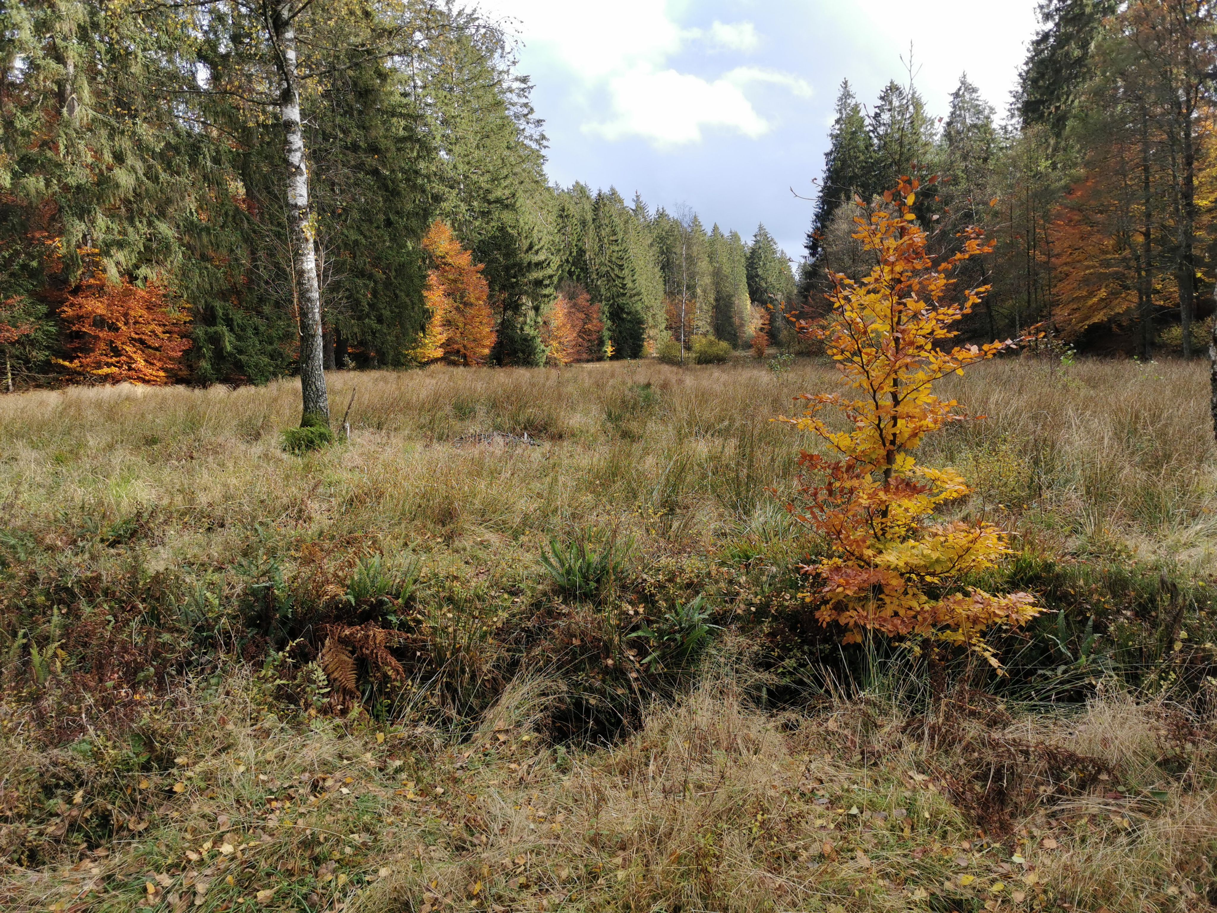 Heights of Martelange