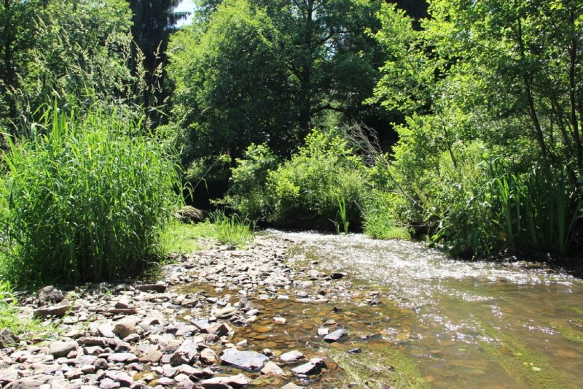 Moulin de Bourseigne