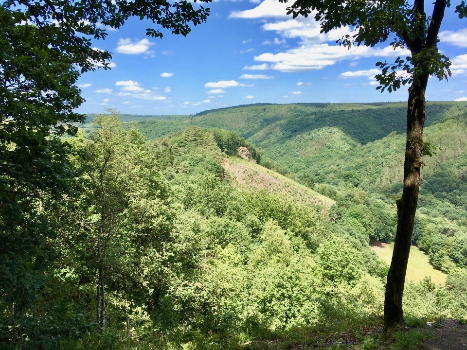Vallon du Ninglinspo