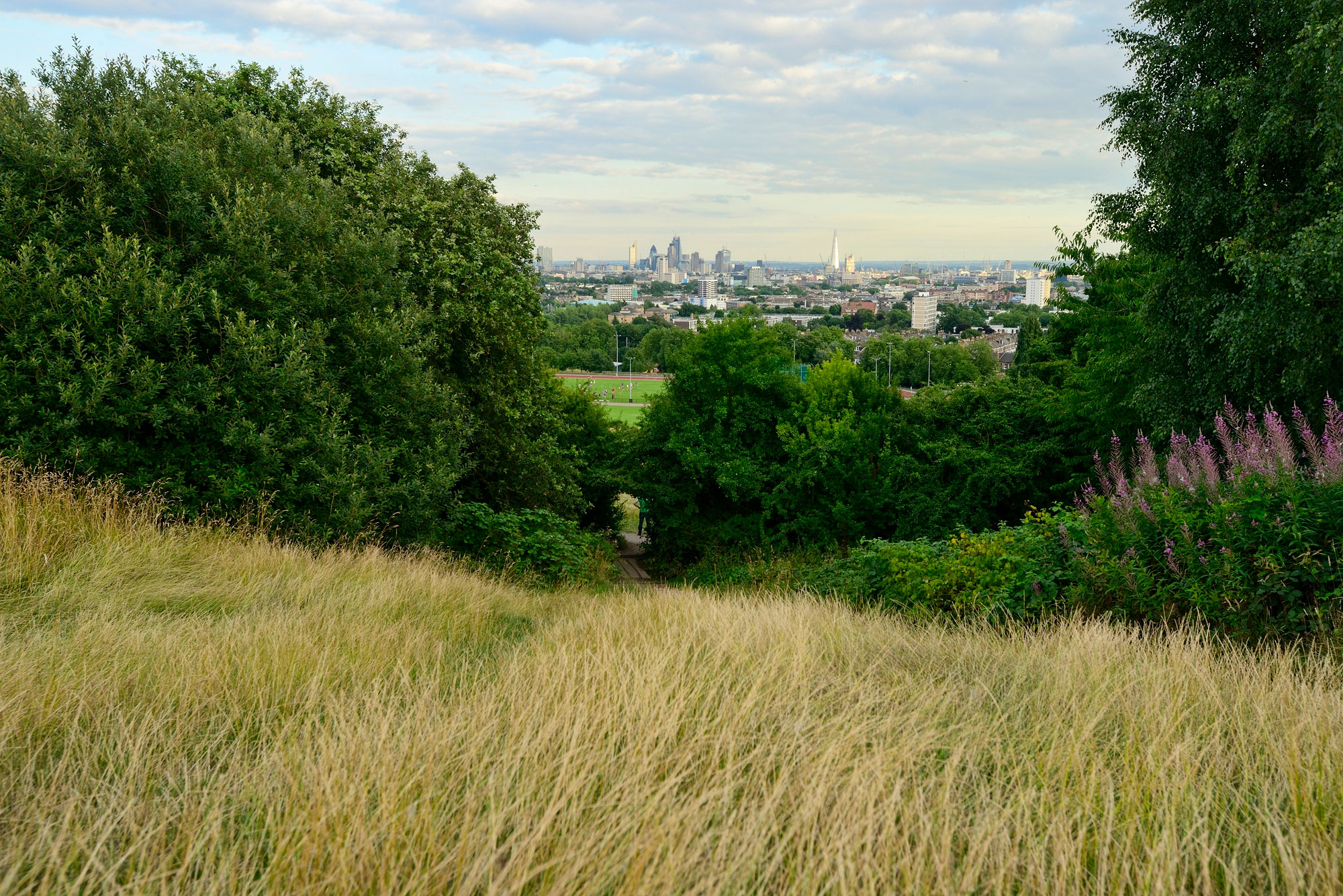 Hampstead Heath