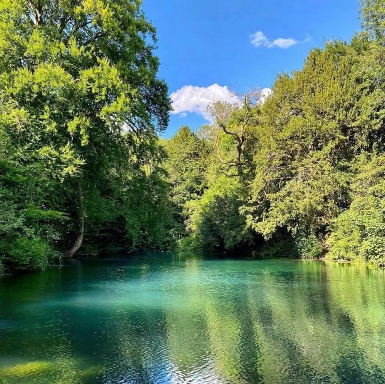 Silent Pool and Saint Martha's Hill