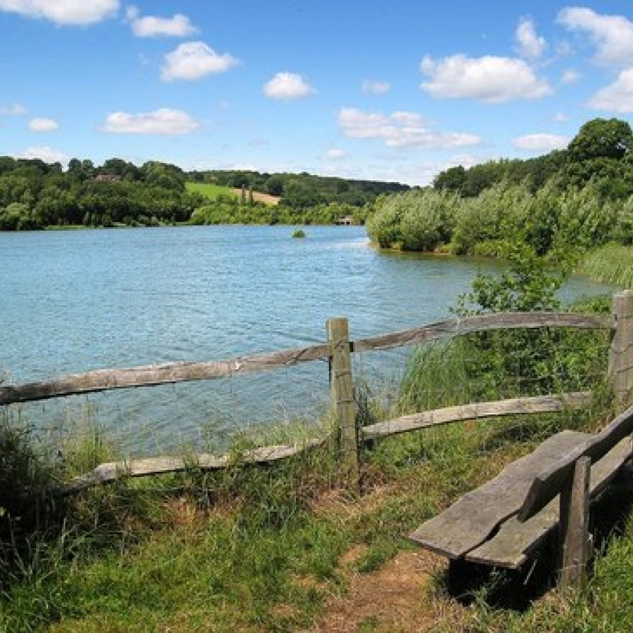 Balcombe and Ardingly Reservoir 
