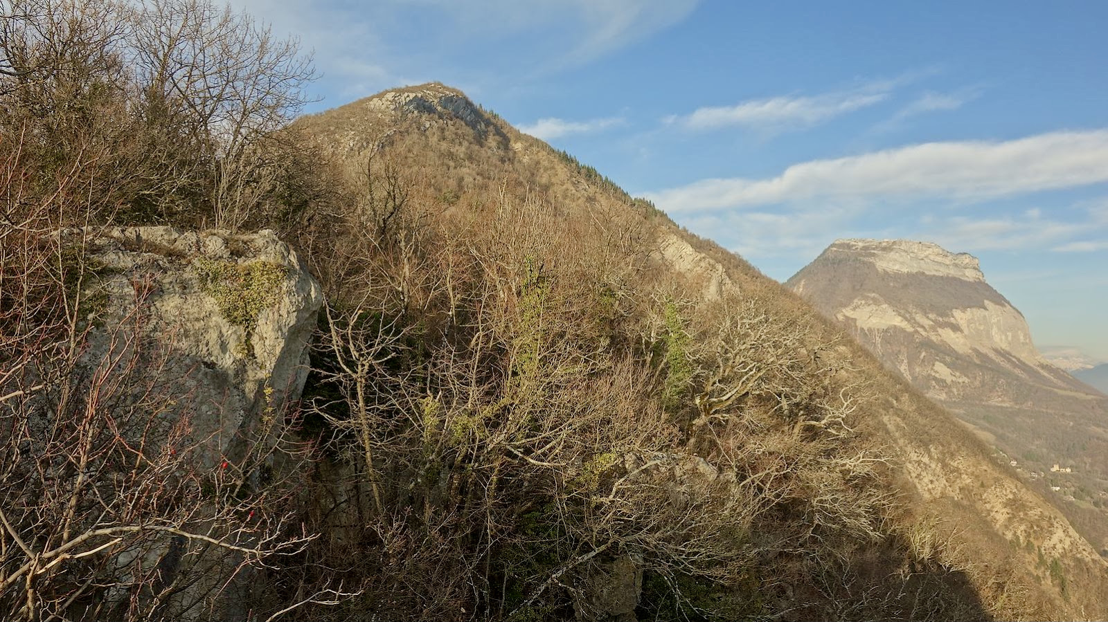 Au-dessus de la Tronche