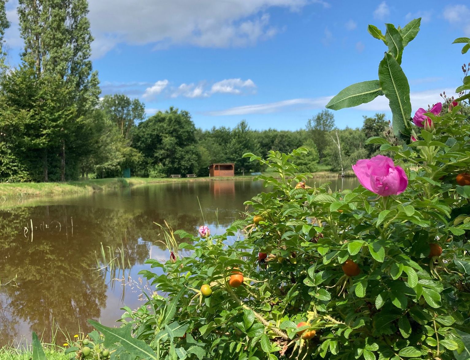 Between La Ronze and La Balme