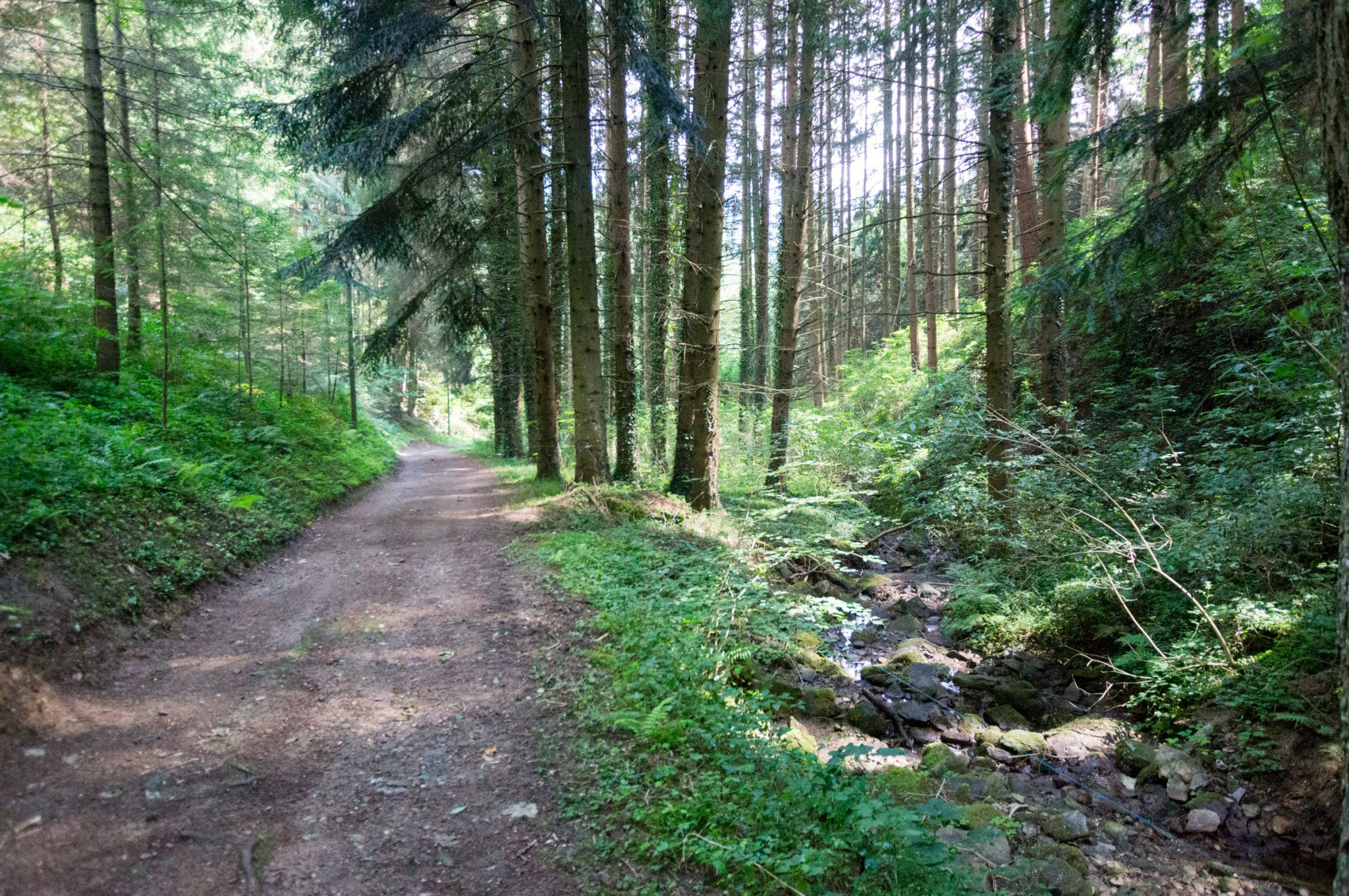 Between La Valla-en-Gier and Bessat