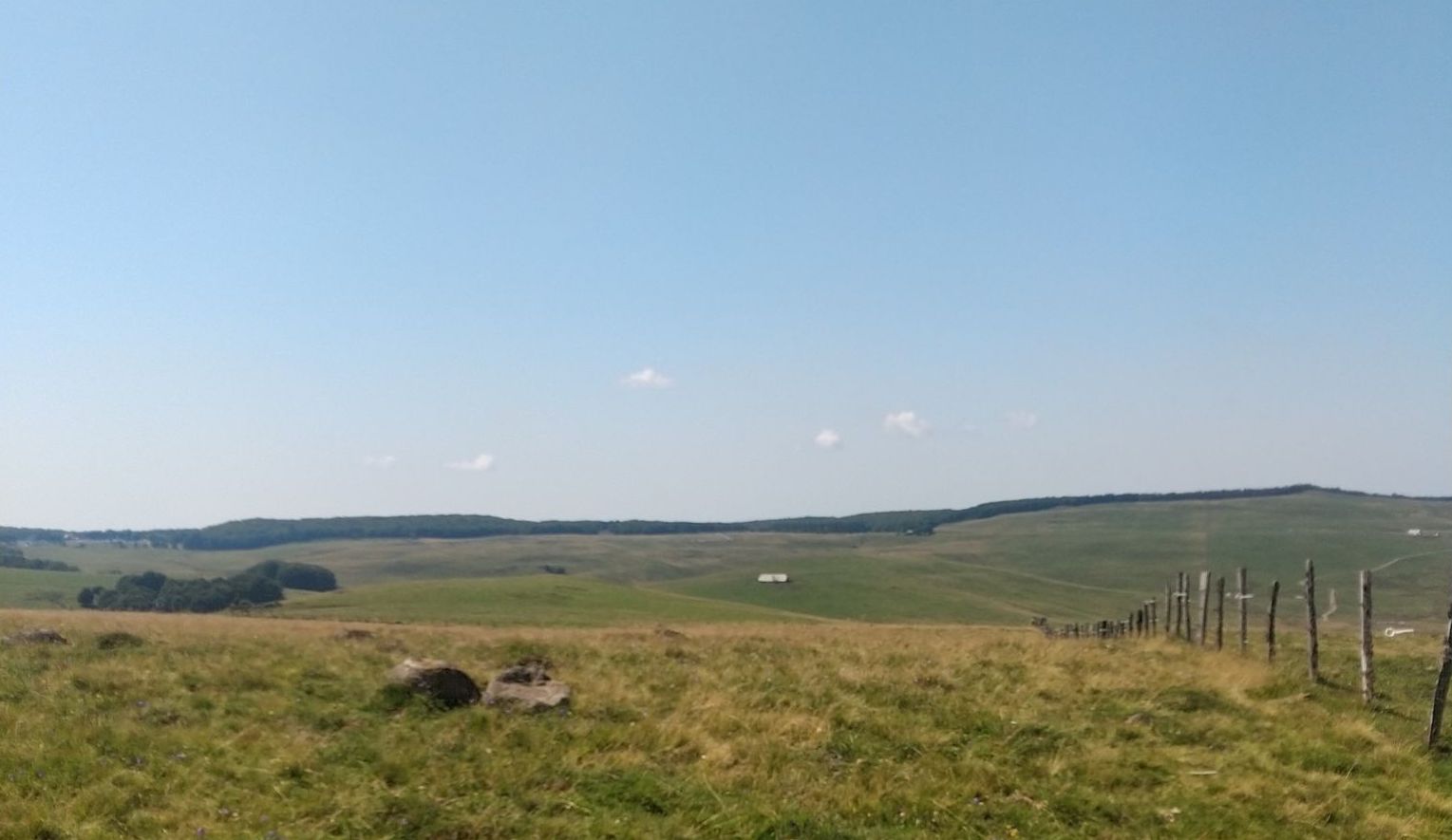 Bois de Sainte-Urcize