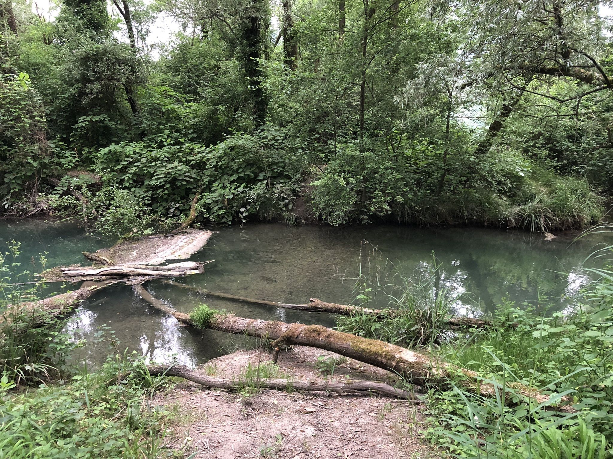 Entre Rhône et étangs