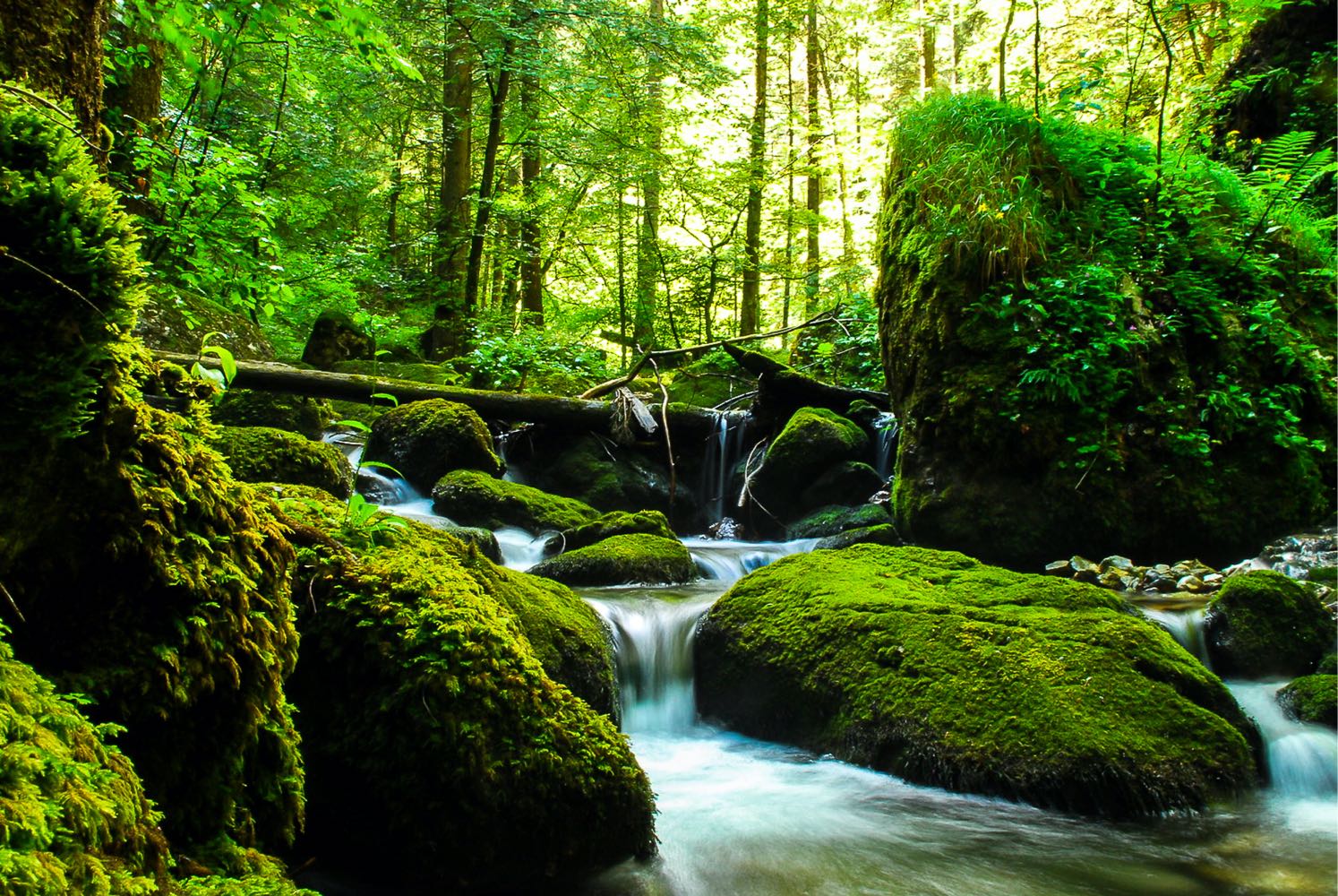 Cascade du Bruyant and Gorges du Furon