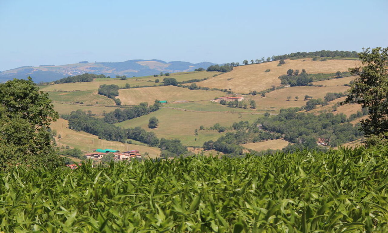 Crêt d'Arjoux from Taylan