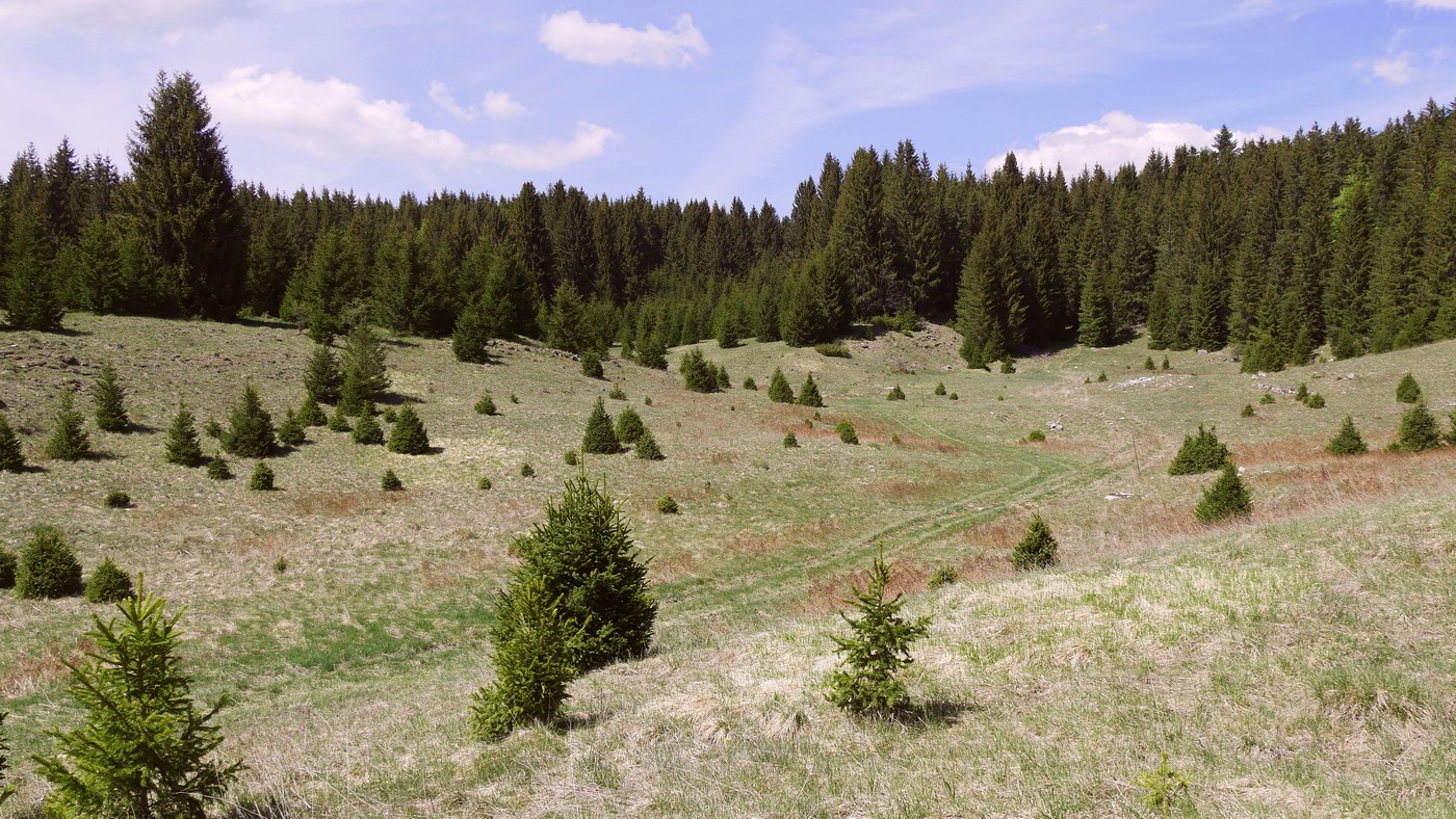 From Mijoux to Les Moussières