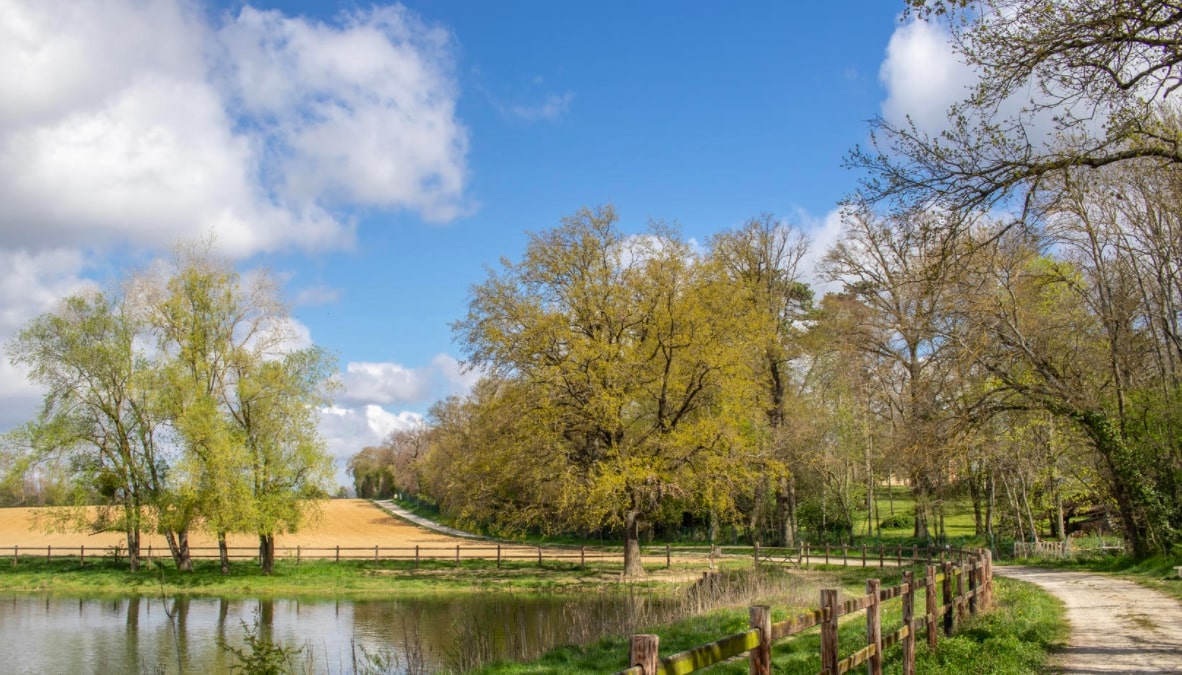 Étang Dimanche and Prarieux