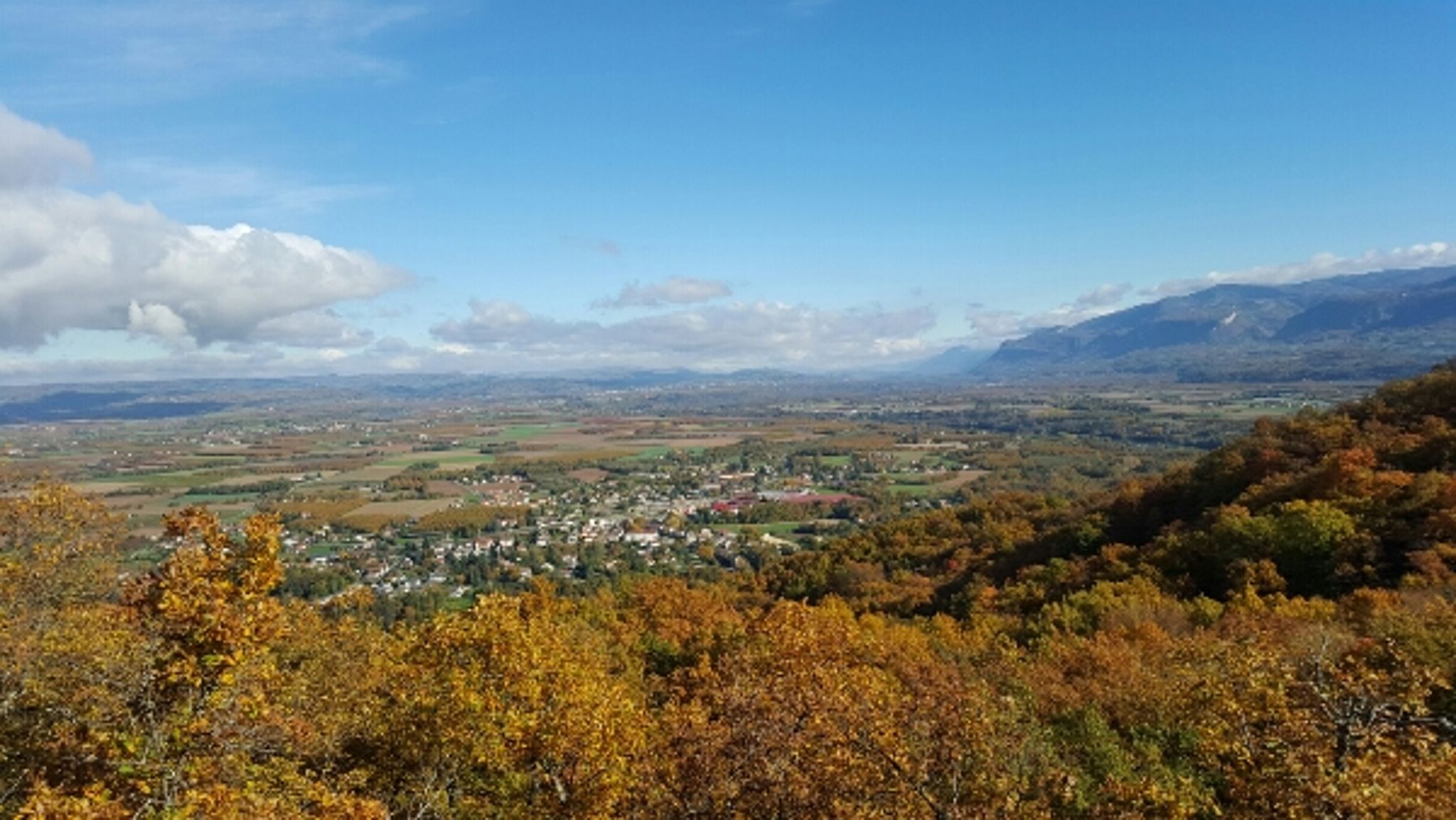 Forêt de Saint-Martin