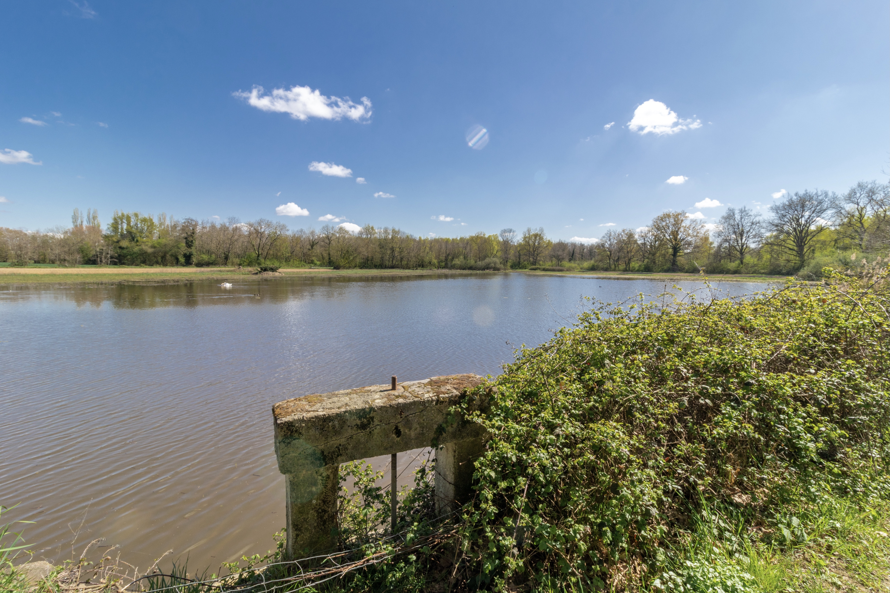 Ponds around Monthieux