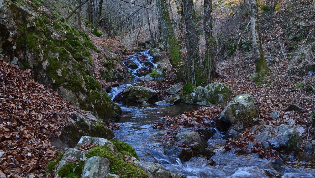 Ruisseau de Gournier