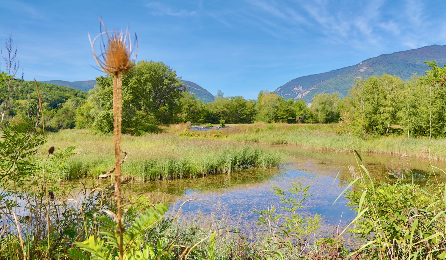 Marais de l'Étournel
