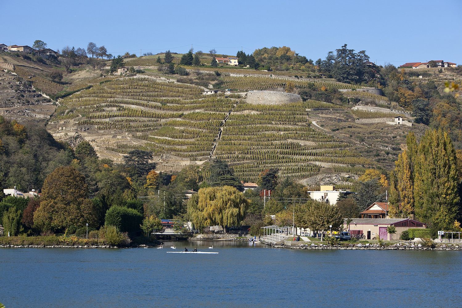 Sentier du Rhône from Condrieu