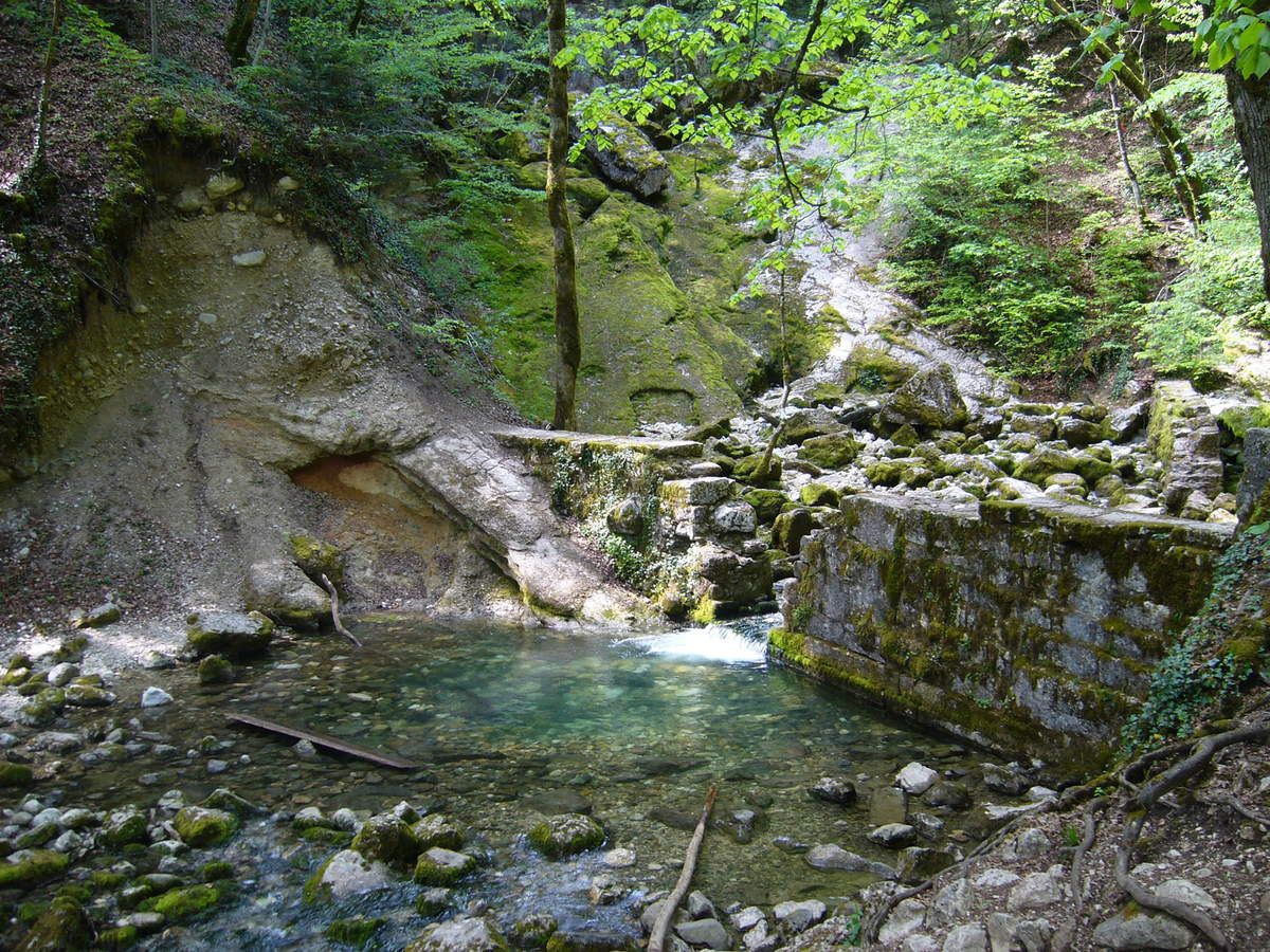 Sources de l'Allondon