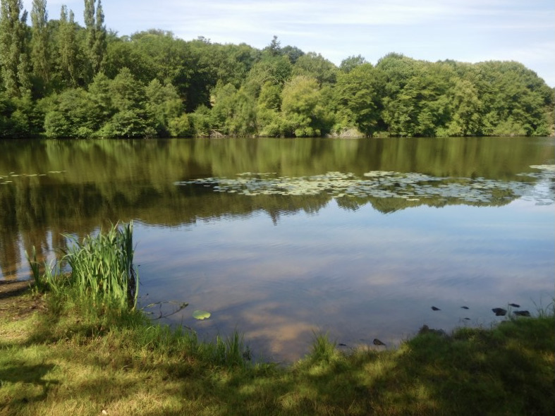 Étang de Morat and Futaie Colbert