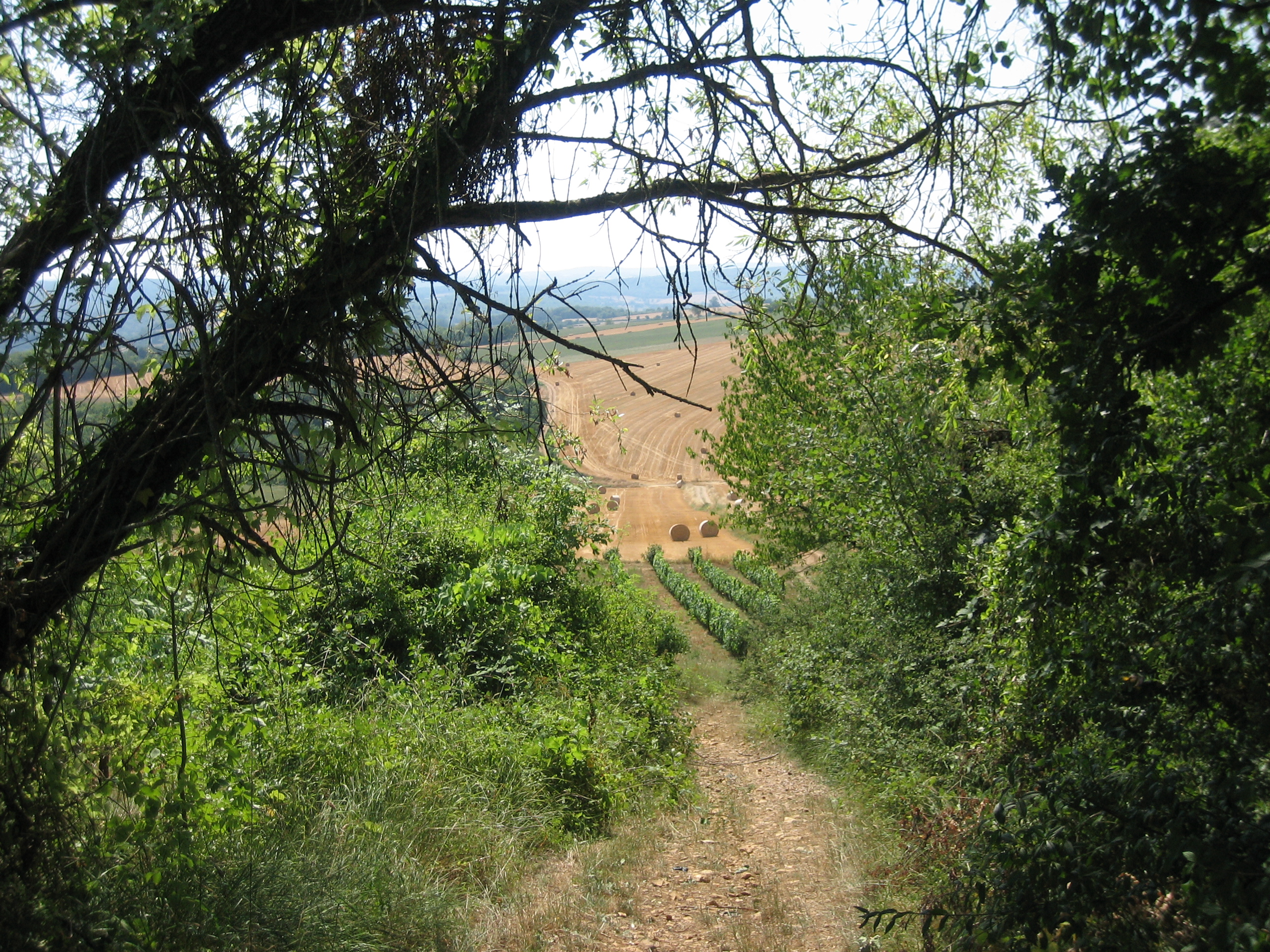 Autour de Saint-Père
