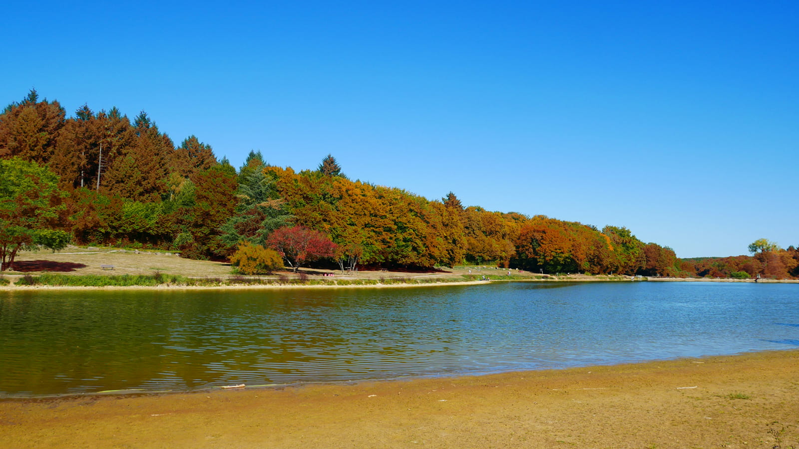 Around Plan d'Eau de Niffond