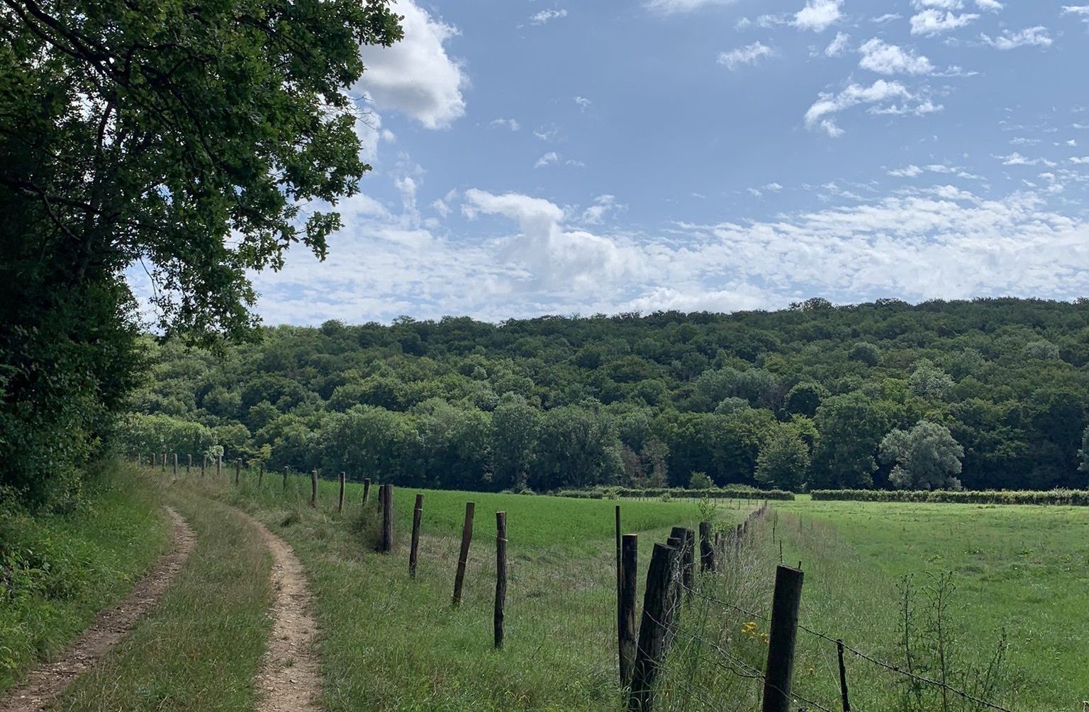 Entre Grimault et Tormancy 