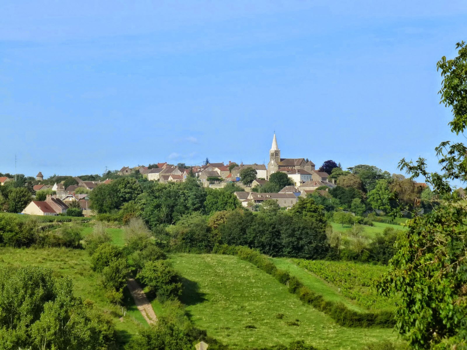 Entre Saint-Mard-de-Vaux et Charrecey