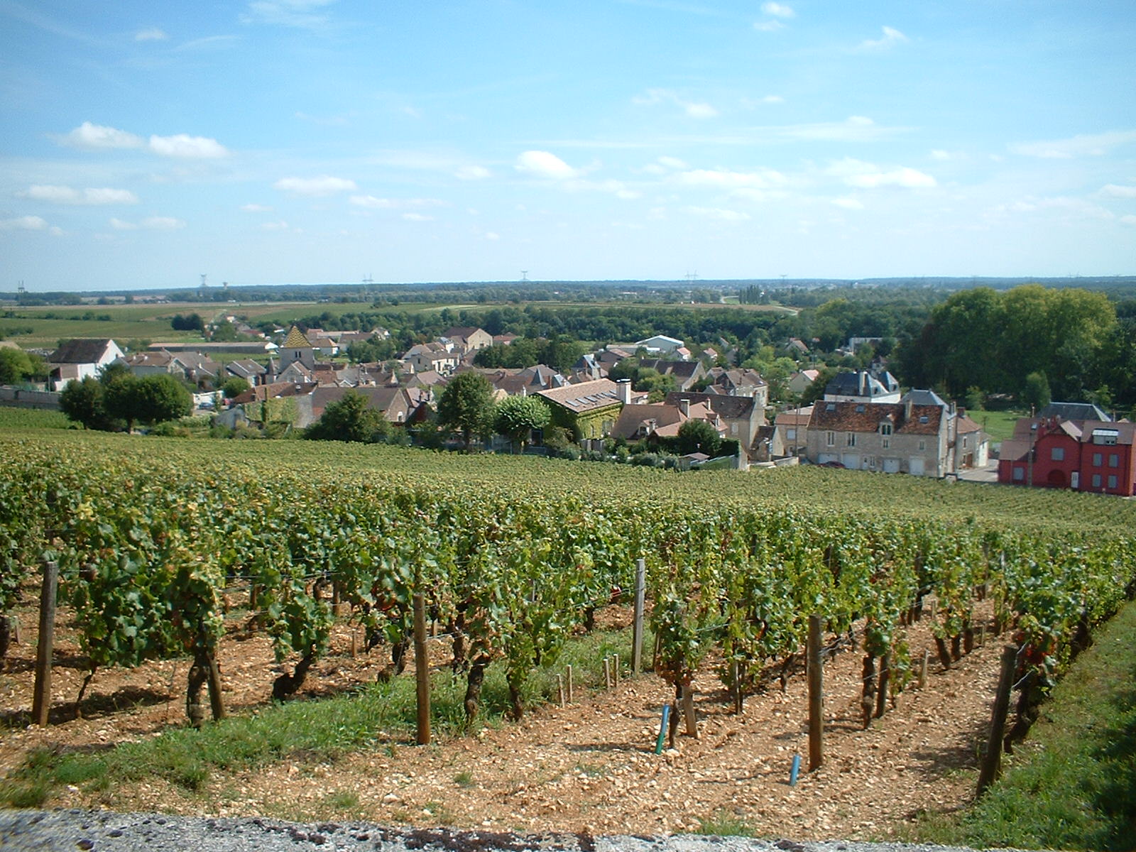 Bois de Premeaux-Prissey