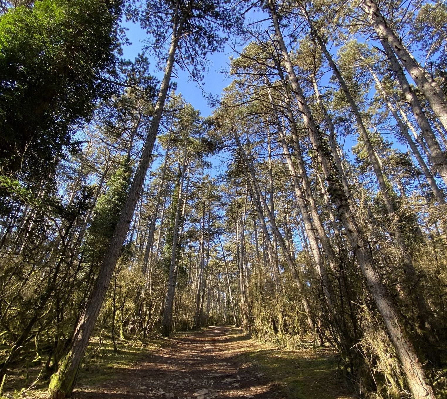 Tour of Montagne de Beaune