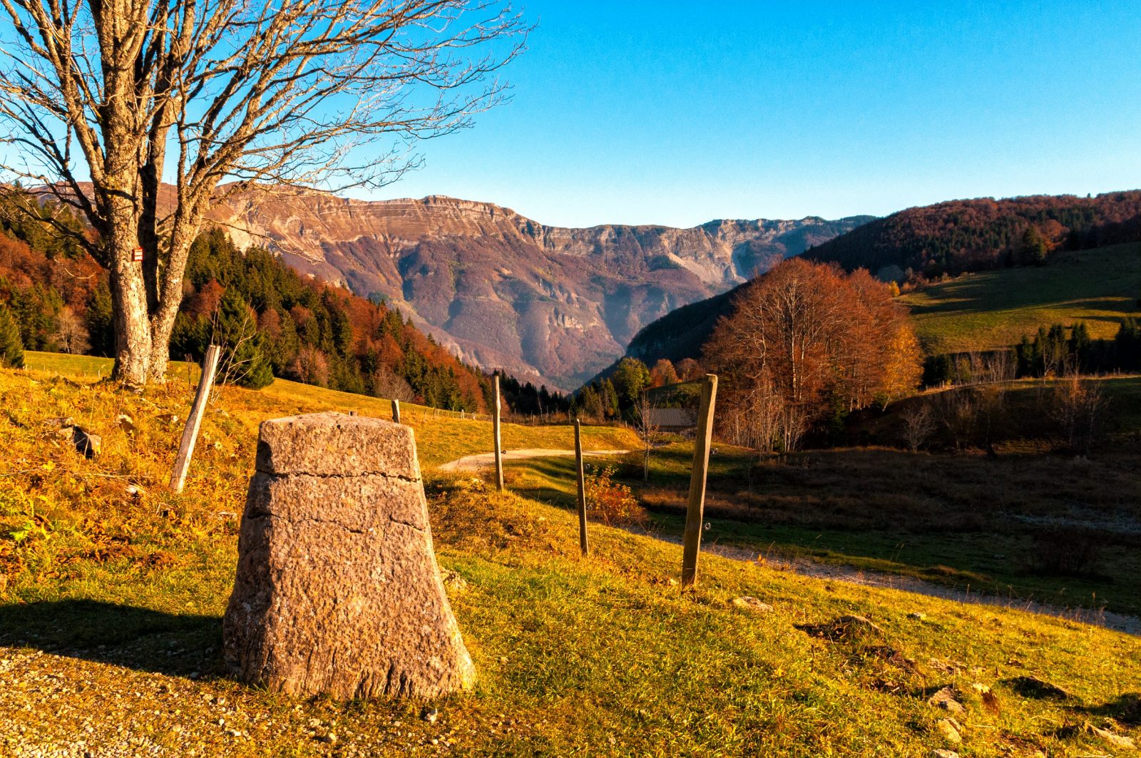 From Les Moussières to Lélex