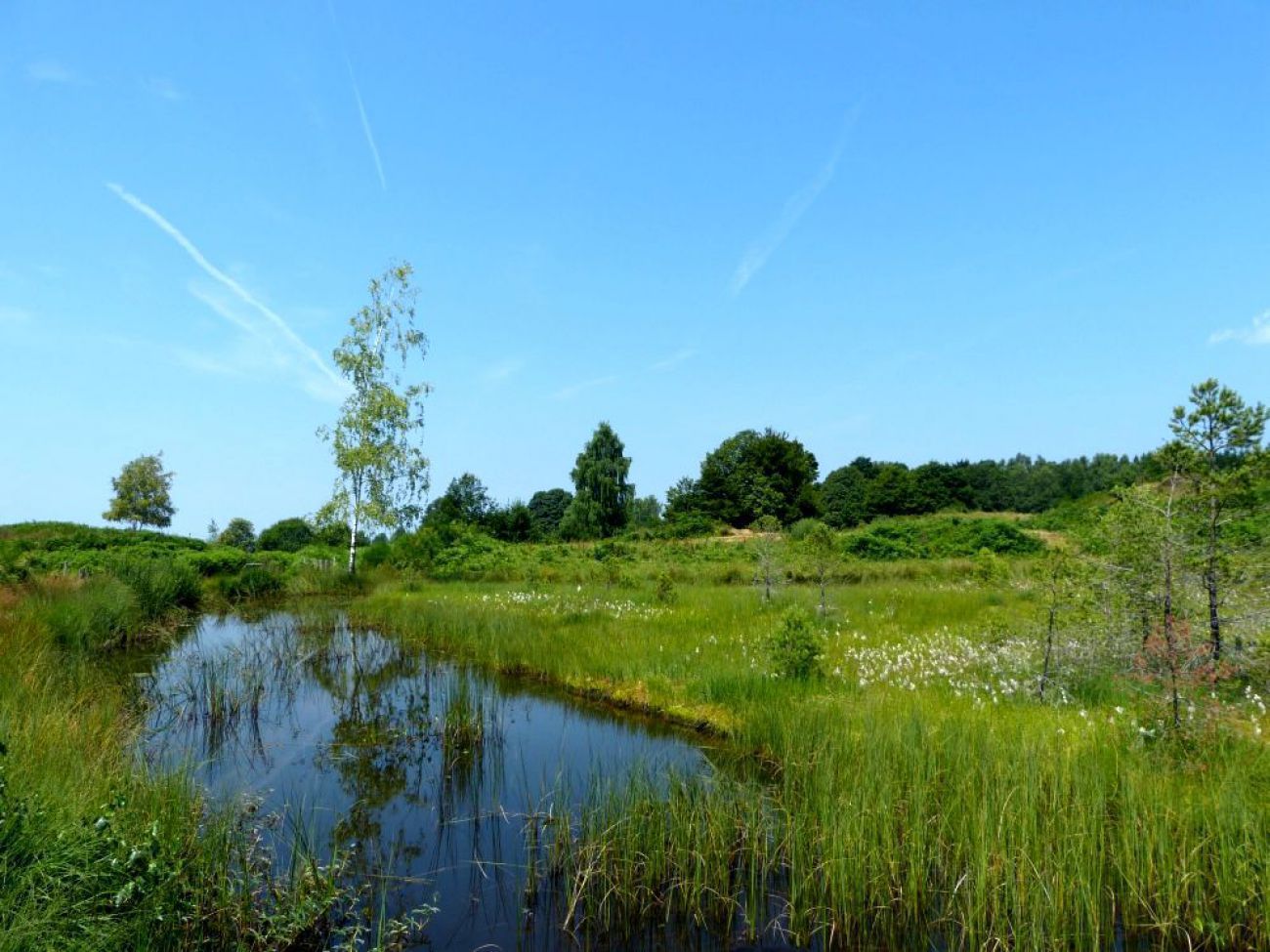 Esmoulières en Boucle