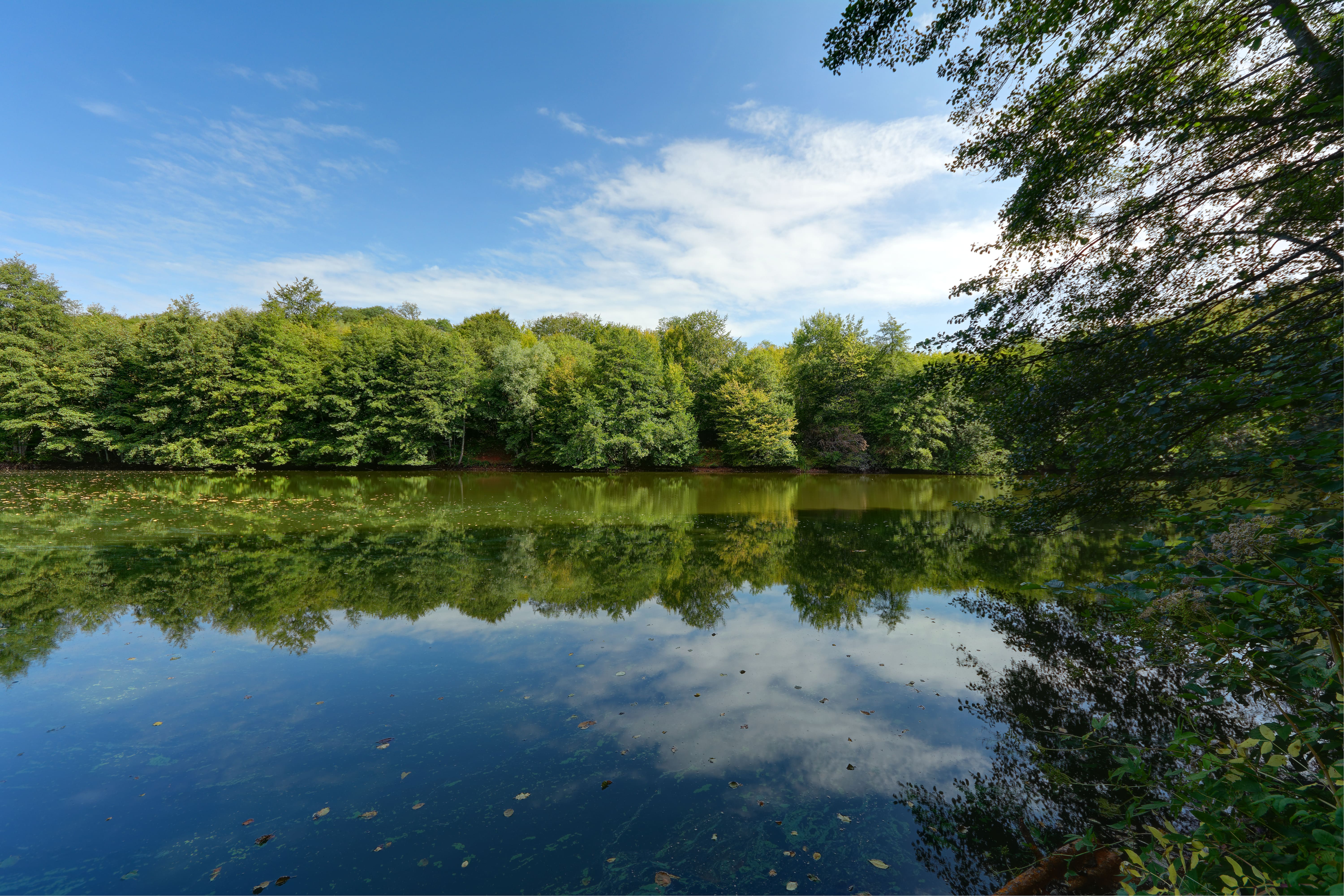 Étang Déchaudey in a Loop
