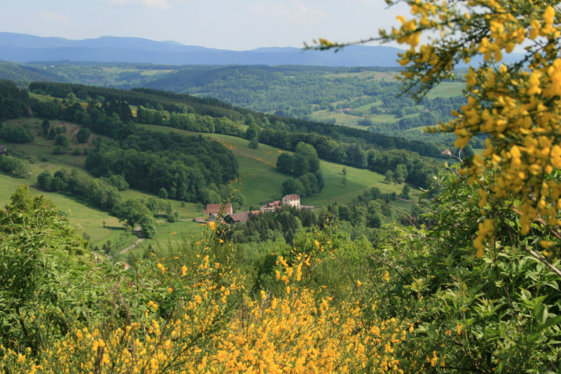 Farms of La Rosiere