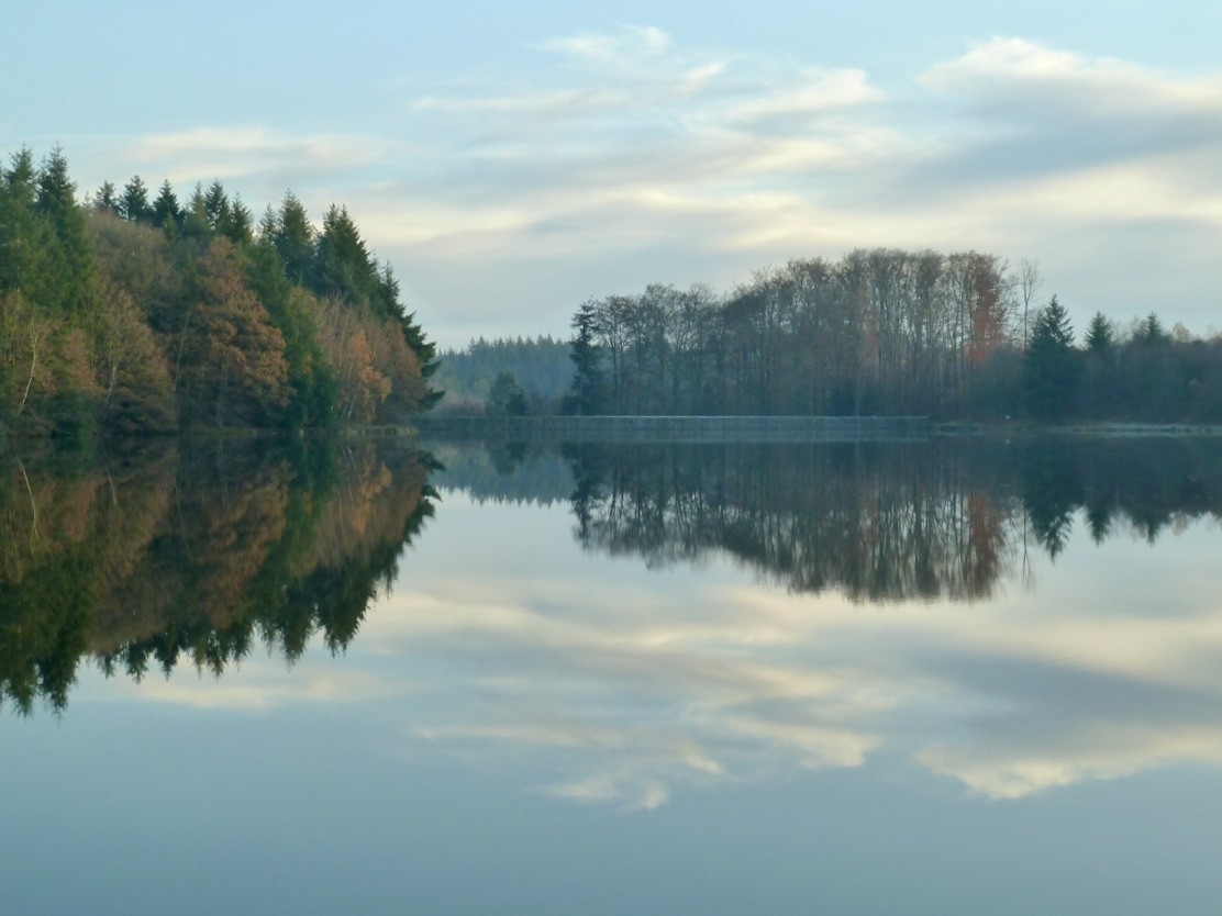 Forêt de Planoise et étang du Martinet