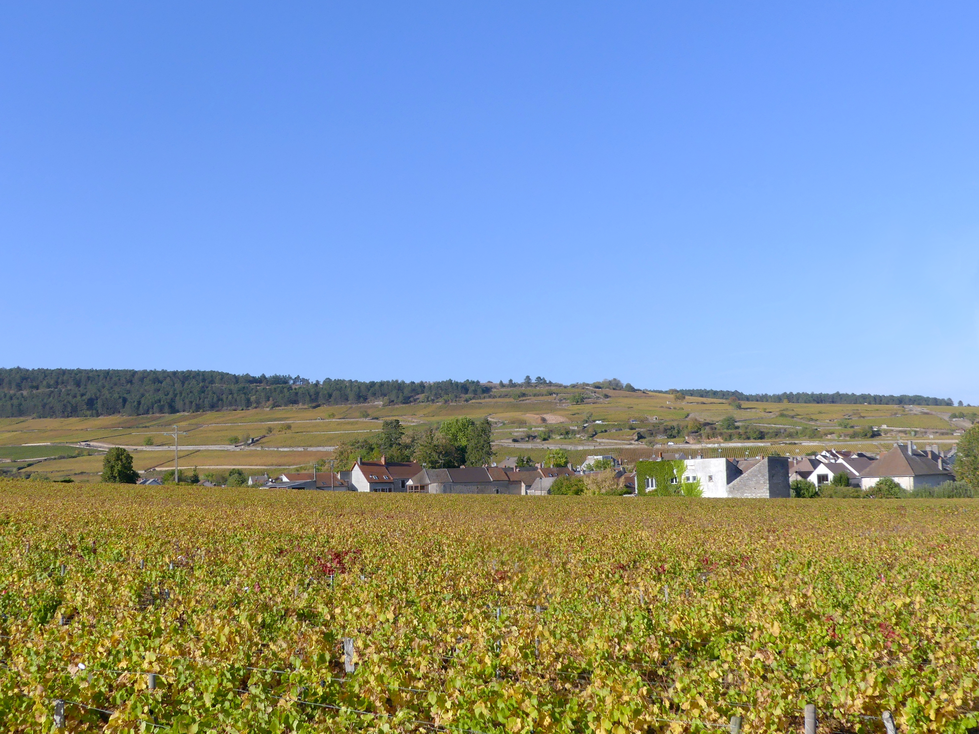 Between Pommard and Bouze-lès-Beaune
