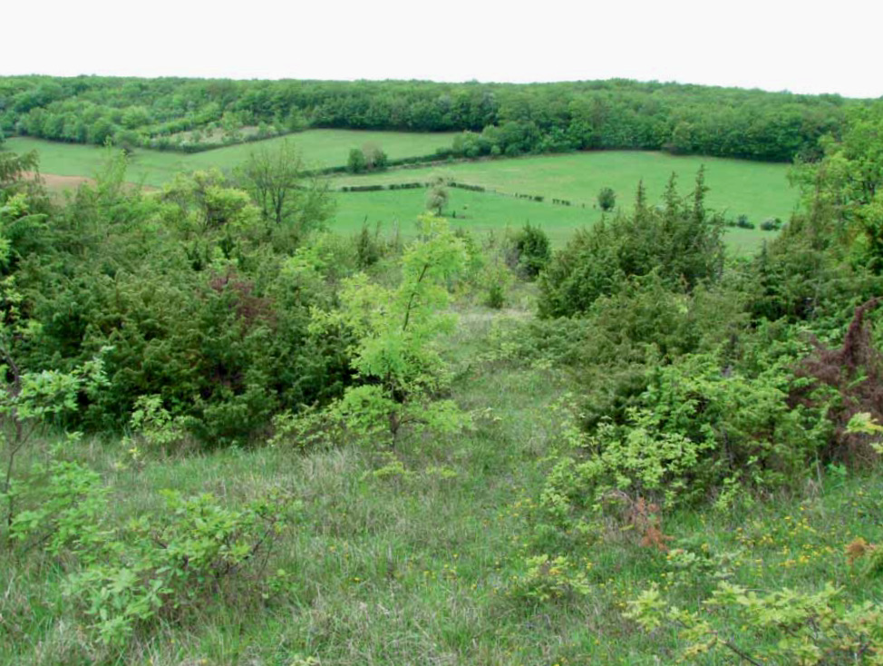 From Vincelles to Montceaux-Ragny