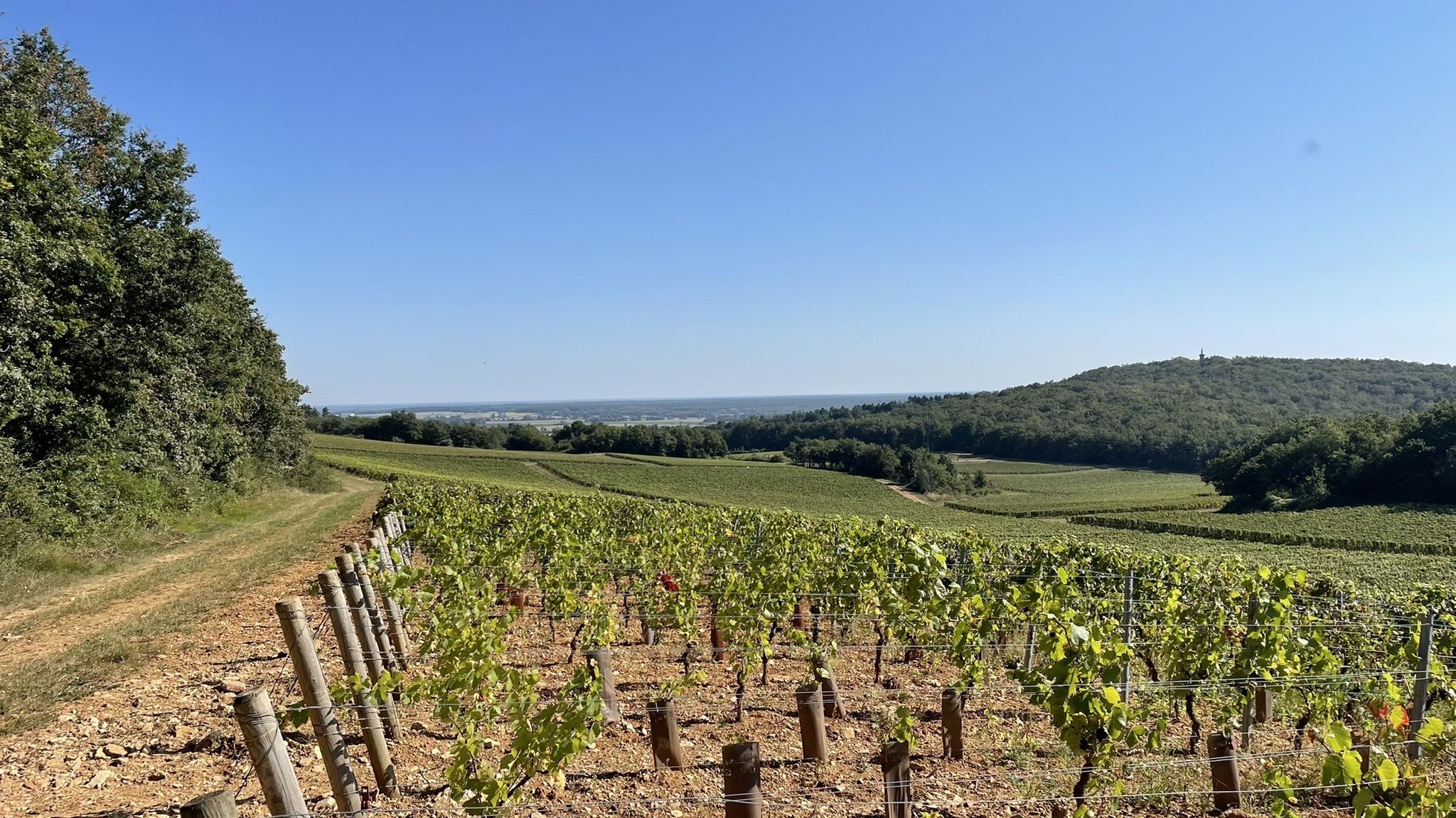 Autour du Clos l'Évêque