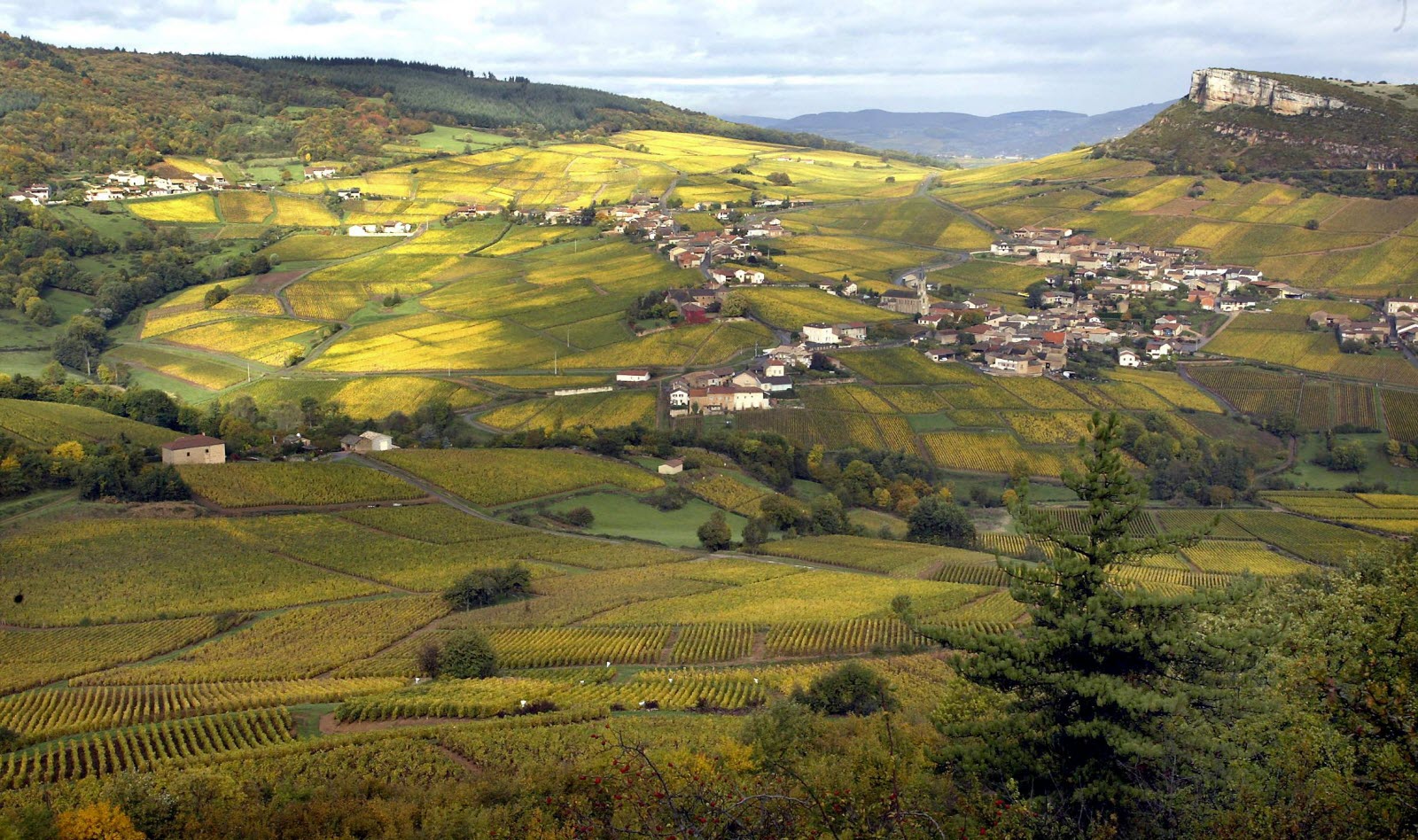 Mont de Pouilly