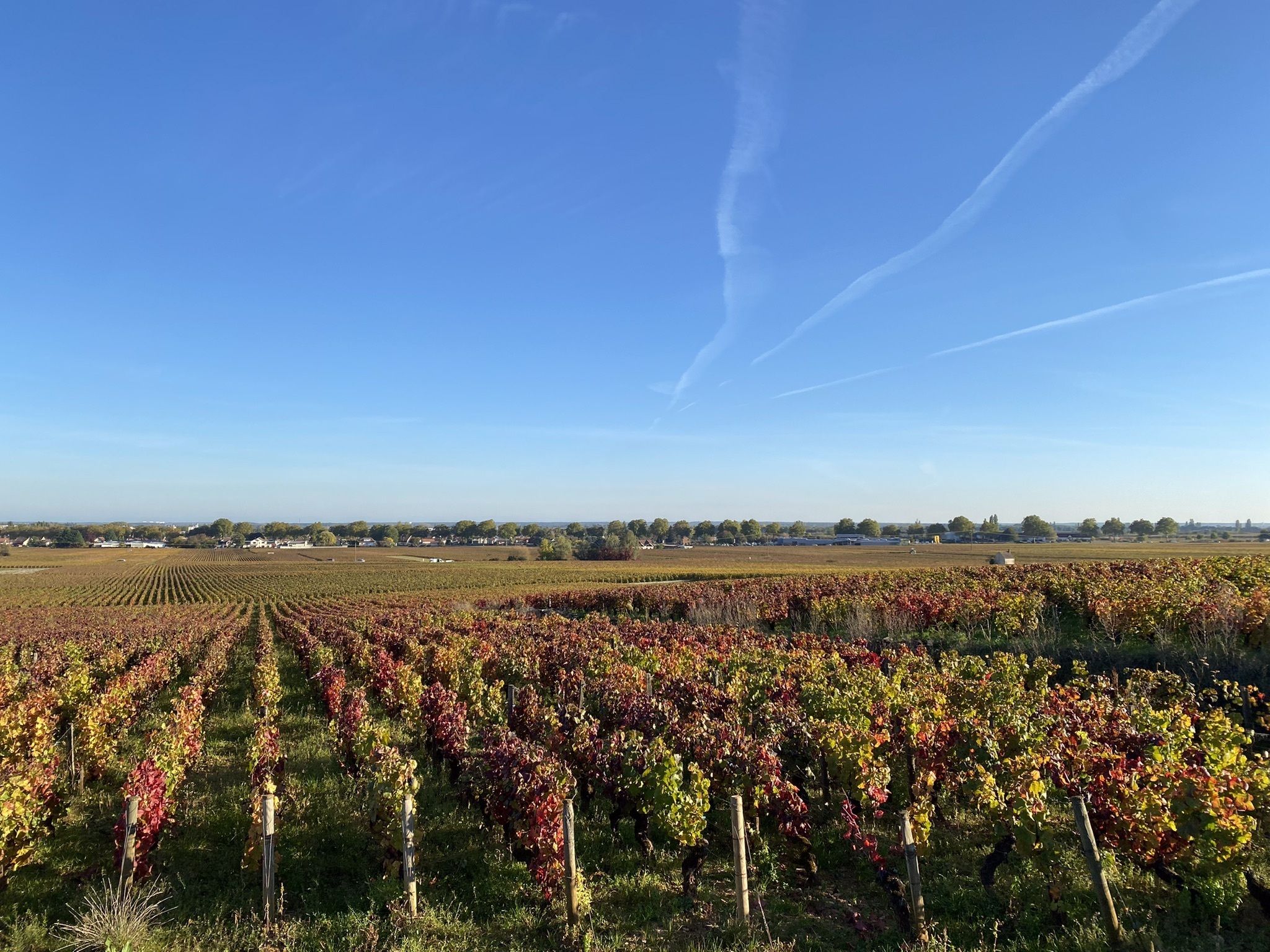 Premier Cru de Beaune