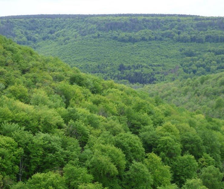 Sentier des Quint’essences