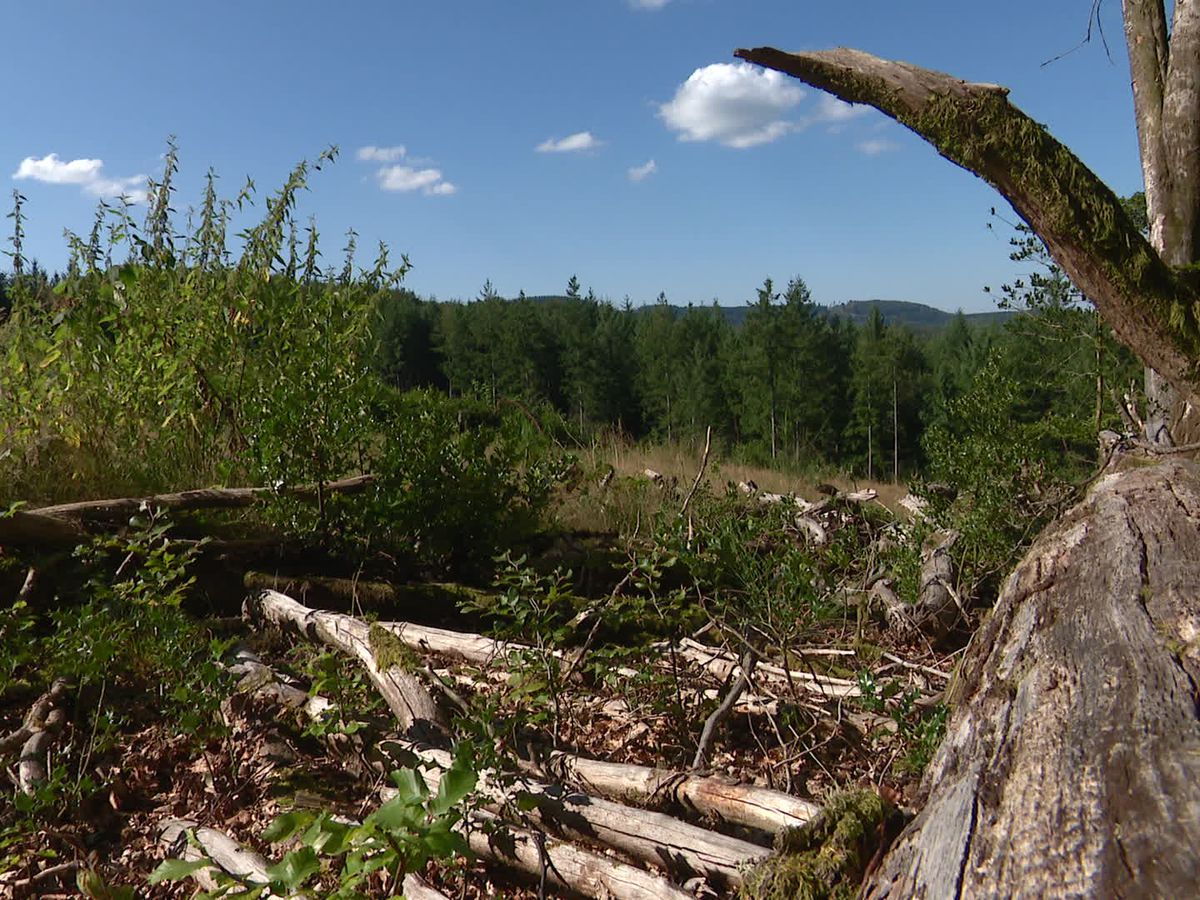 Tour du Grand Montarnu